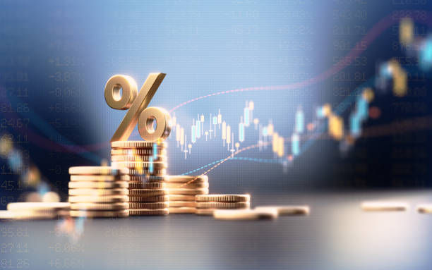 揭秘日本公司注册费用：预算规划与成本控制的策略